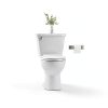 American Standard 5503A00B.020 Slow Elongated Closed Front Toilet Seat, White-1