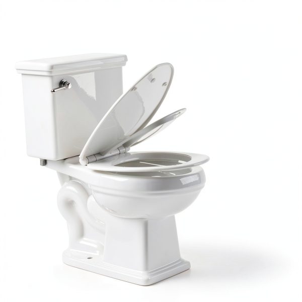 Family Toilet Seat 1M Slow Close Quick Release Elongated Toddler Seat-1